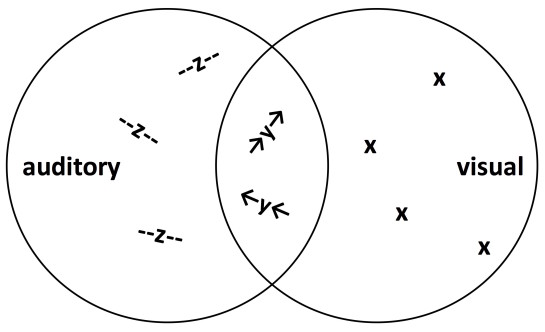 Visual summary of Ihde's diagrams